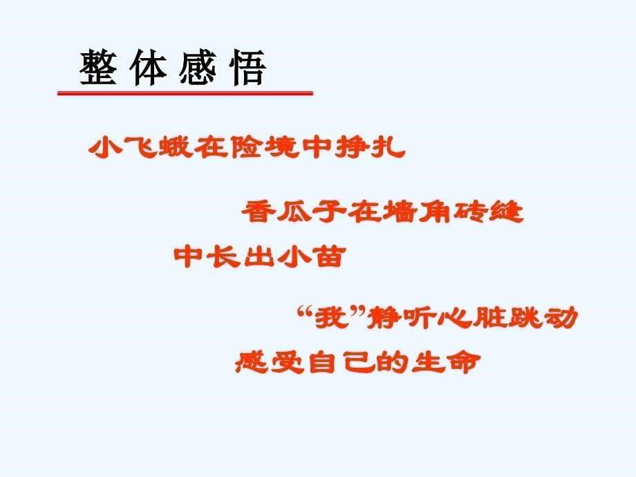 语文人教版四年级下册《生命、生命》第二课时_第5页