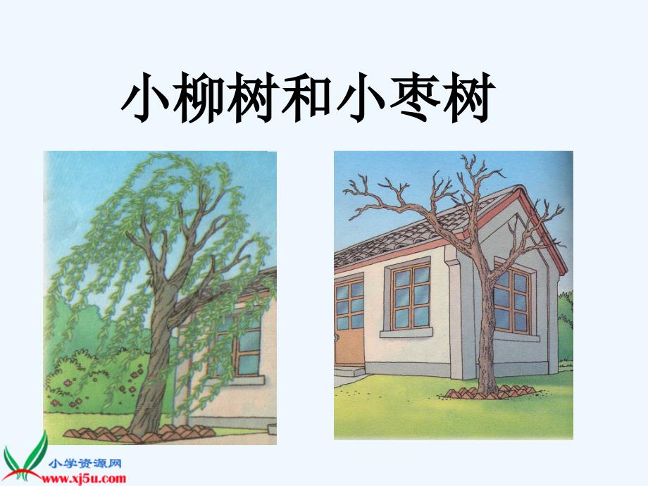 人教新课标二年级语文上册15《小柳树和小枣树》_第3页