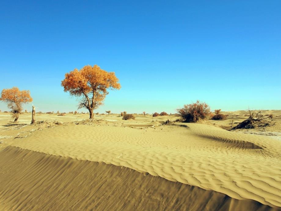 人教版八年级地理下册第二节 干旱的宝地 ——塔里木盆地_第4页