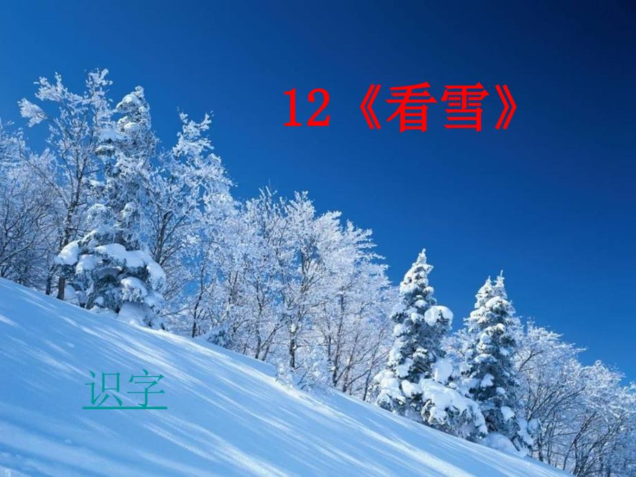 语文人教版二年级上册看雪 ppt.看雪_第1页