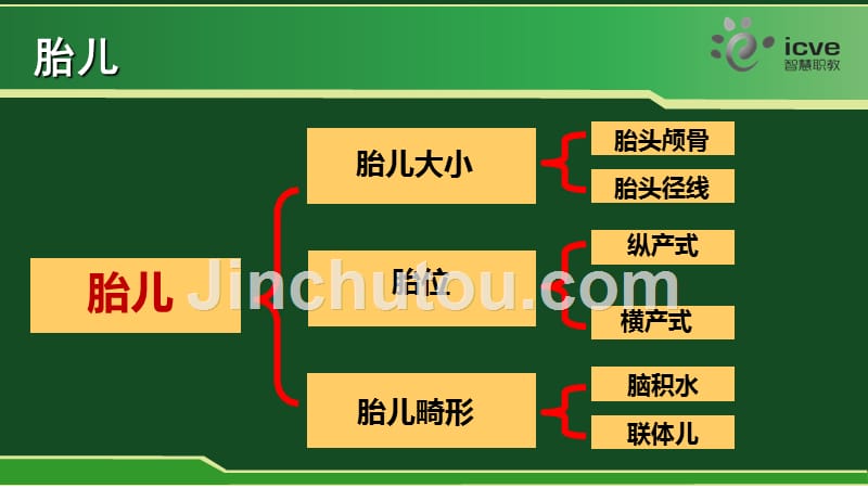 决定分娩因素—胎儿._第3页