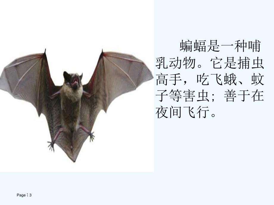 语文人教版四年级下册11.蝙蝠和雷达（第一课时）课件.蝙蝠和雷达（第一课时）_第3页