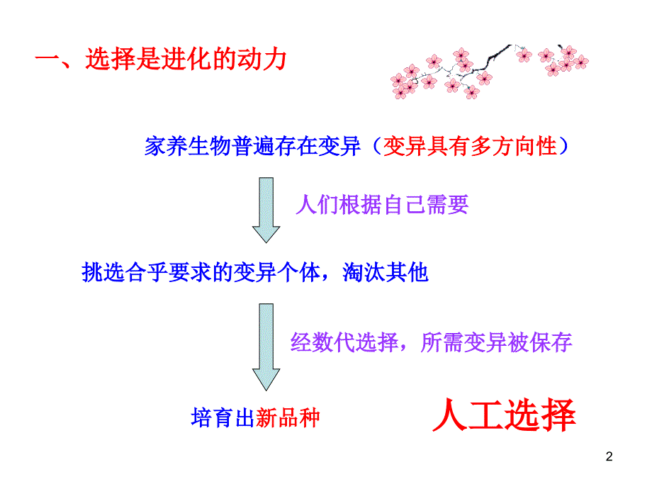 生物课件浙科版必修二第五章第二节进化性变化是怎样发生的共张_第2页