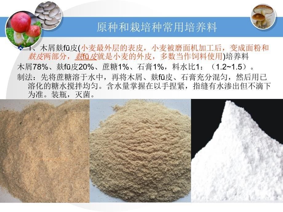 原种和栽培种的制作资料_第5页