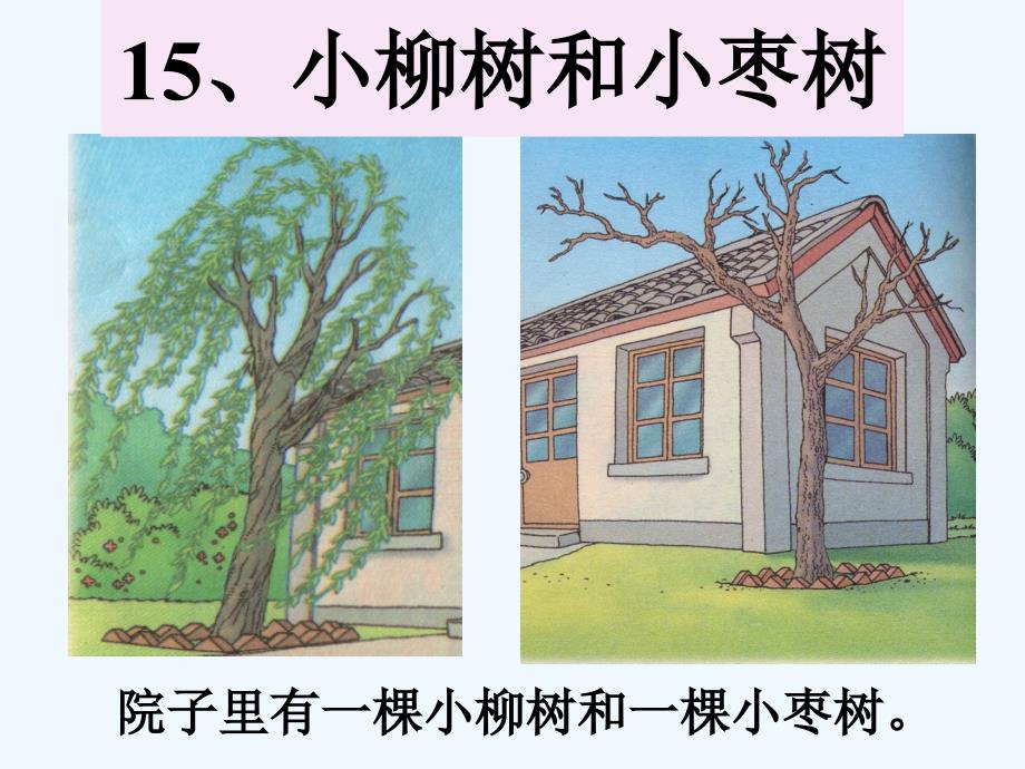 语文人教版二年级上册小柳树和小枣树课件_第2页