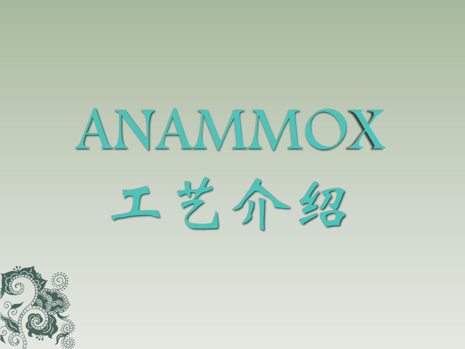 厌氧氨氧化anammox工艺介绍资料_第1页
