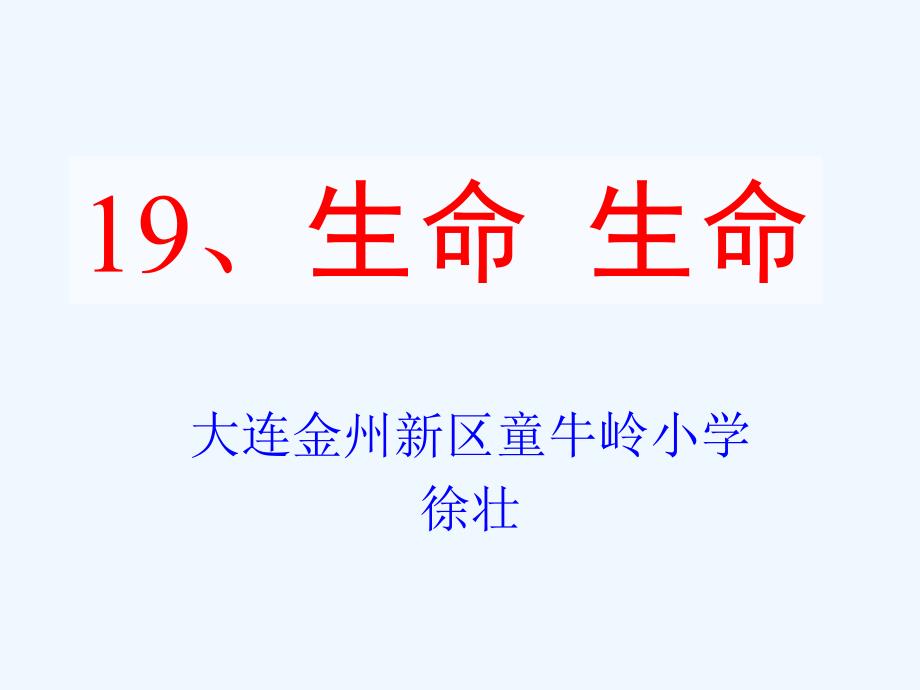 语文人教版四年级下册徐壮《19、生命 生命》课件_第1页