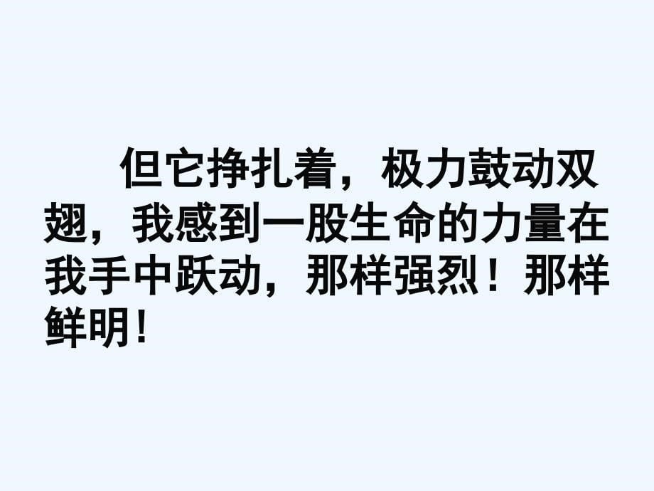 语文人教版四年级下册徐壮《19、生命 生命》课件_第5页