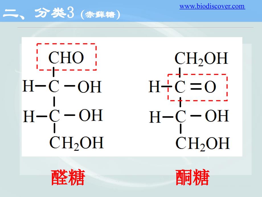 课件糖类化学_第3页