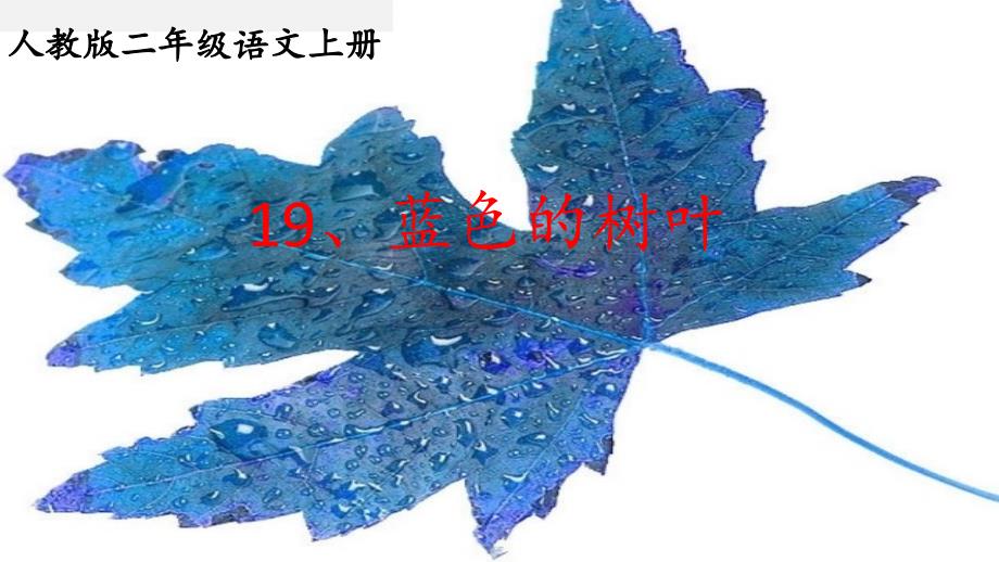 语文人教版二年级上册蓝色的树叶课件_第3页