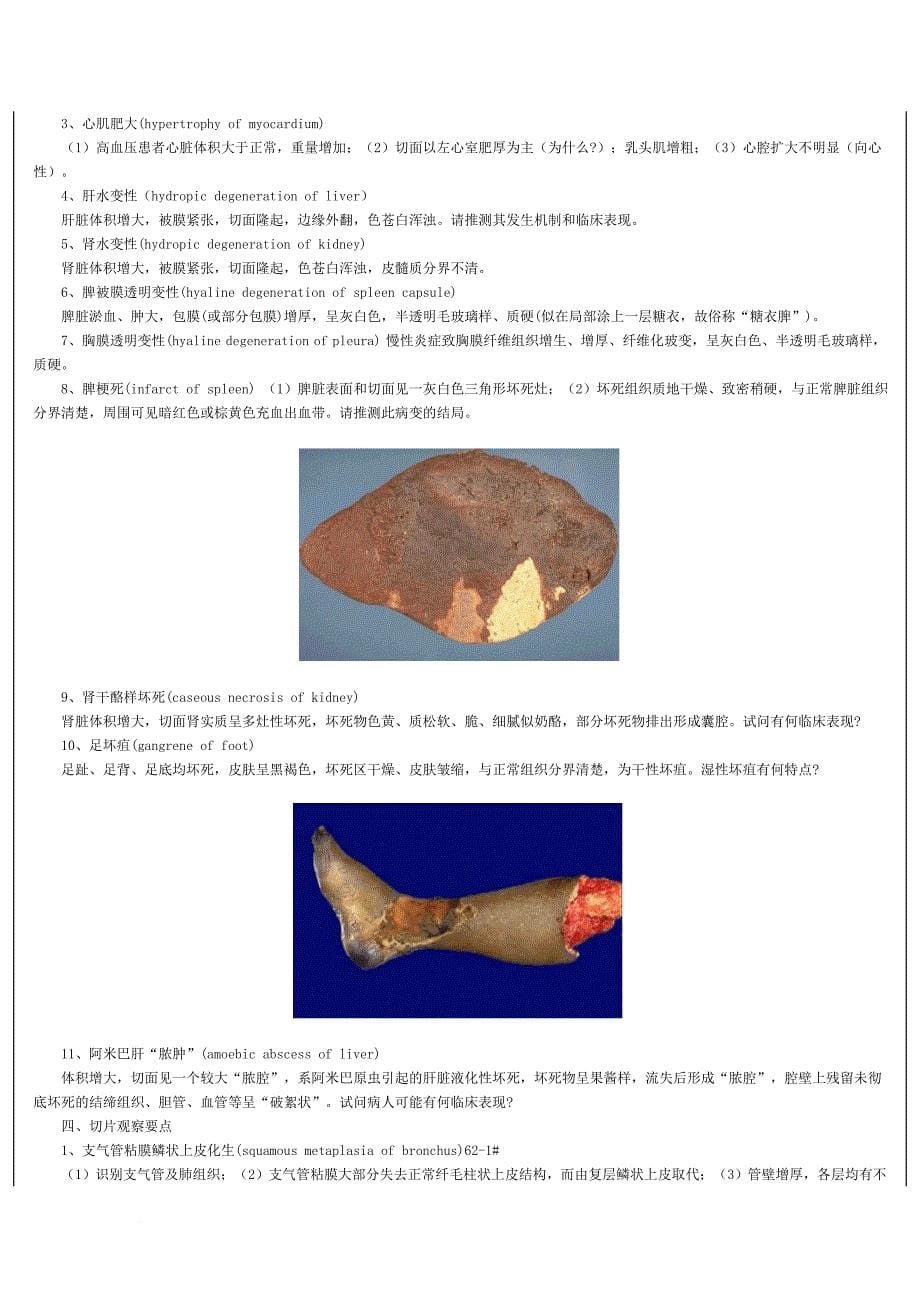 《病理学》实验指导.doc_第5页