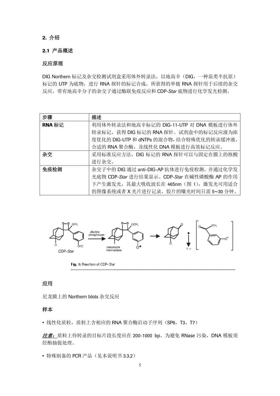 dignorthern标记及杂交检测试剂盒中文说明书资料_第5页