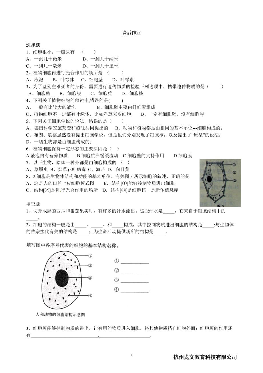 新初一科学衔接：10细胞学说与细胞结构讲义_第3页