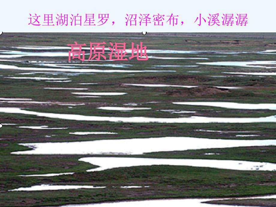 人教版八年级地理下册第二节 高原湿地——三江源_第2页