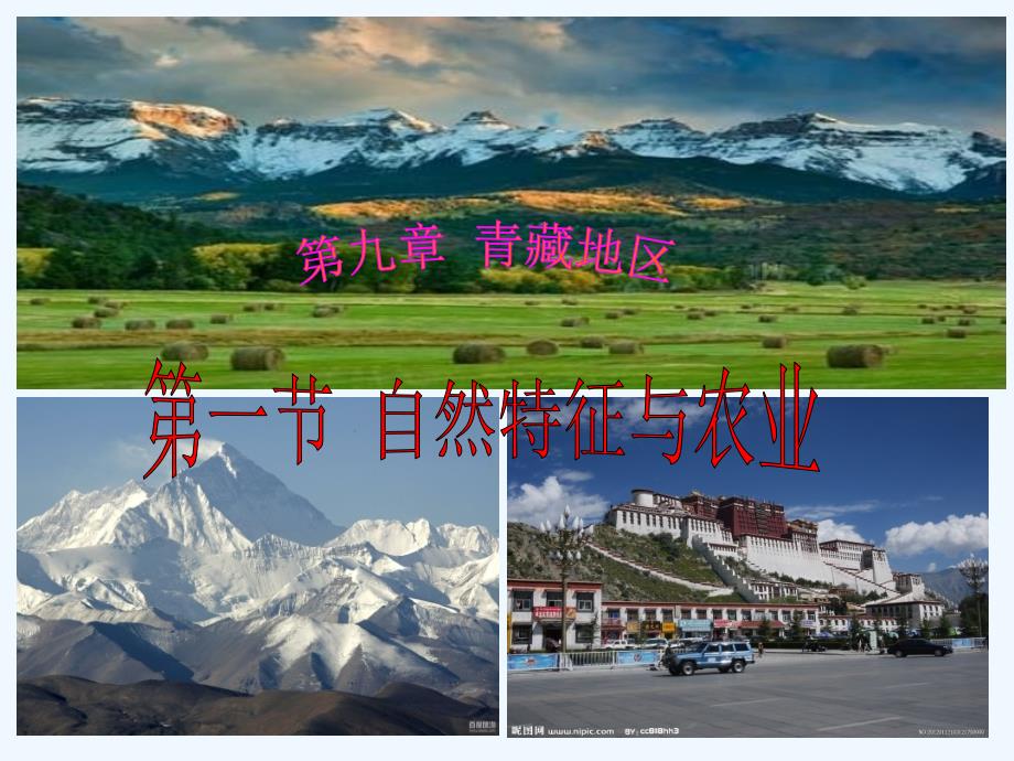 人教版八年级地理下册青藏地区第一节 自然特征与农业_第1页