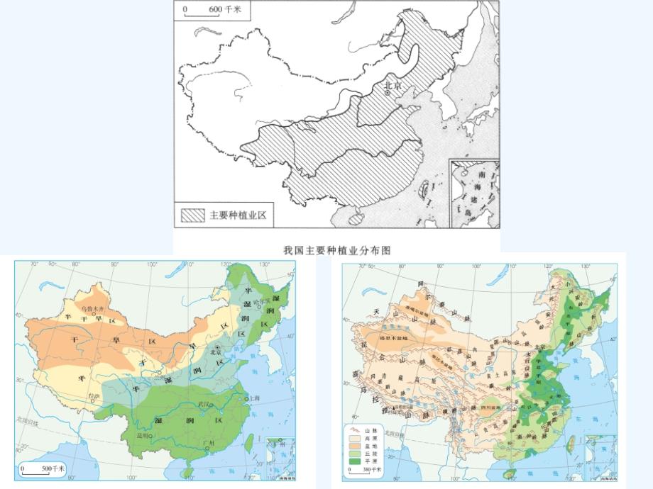 人教版八年级地理上册第二节 农业 （复习课）_第2页