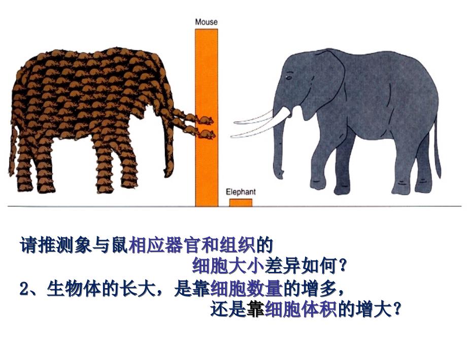 人教版高中生物必修一第六章第一节课件资料_第2页