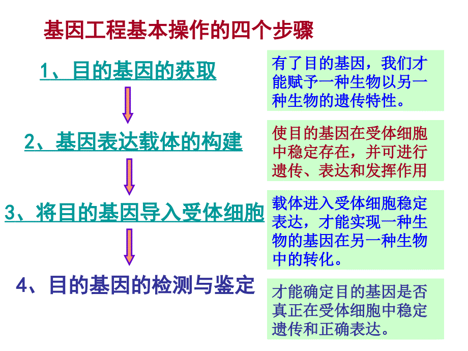 生物12基因工程的基本操作程序2014级用_第1页