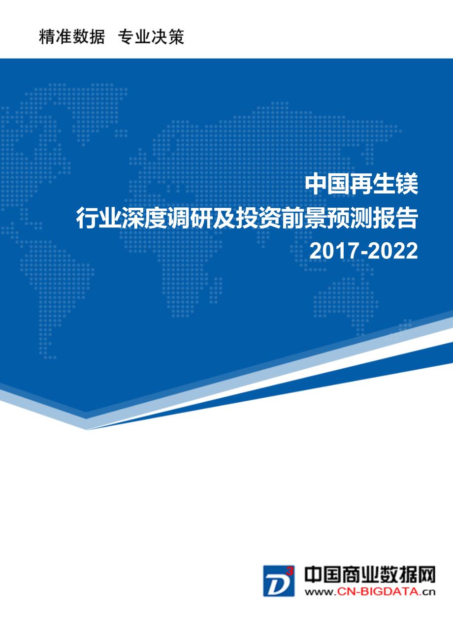 再生镁行业深度调研及投资前景预测报告资料_第1页