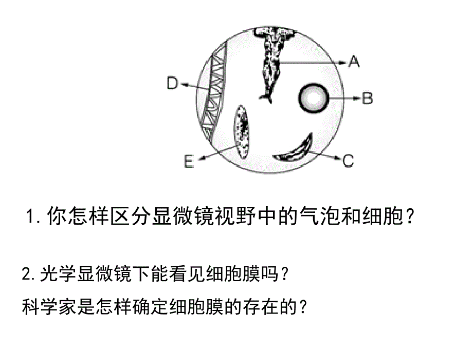 细胞膜的获取.成分及功能及结构资料_第2页