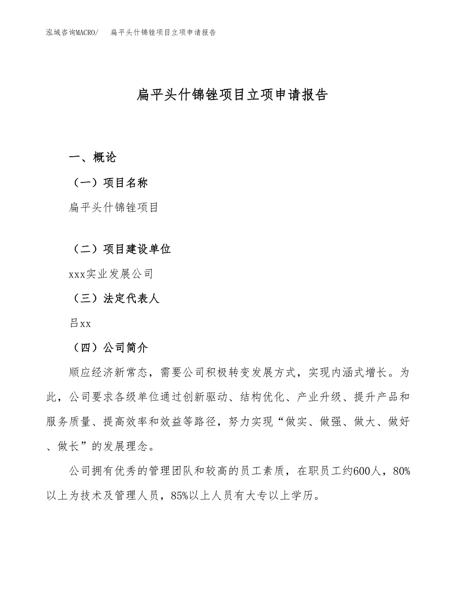 关于建设扁平头什锦锉项目立项申请报告模板（总投资11000万元）_第1页