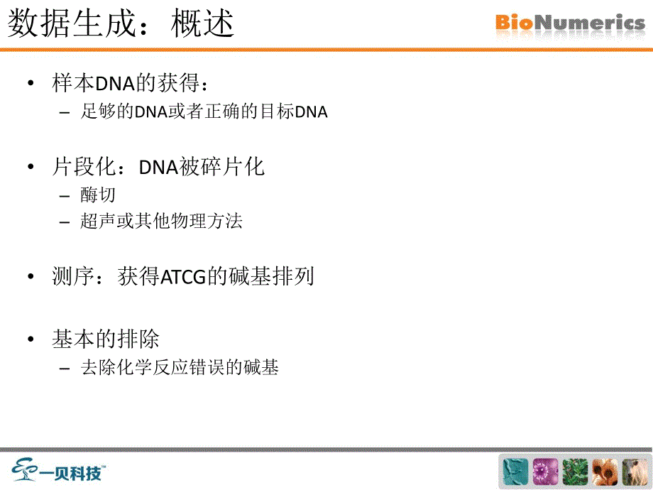 微生物分子分型数据分析pfge.mlst.mlva.wgmlst.宏基因组.全基因组资料_第4页