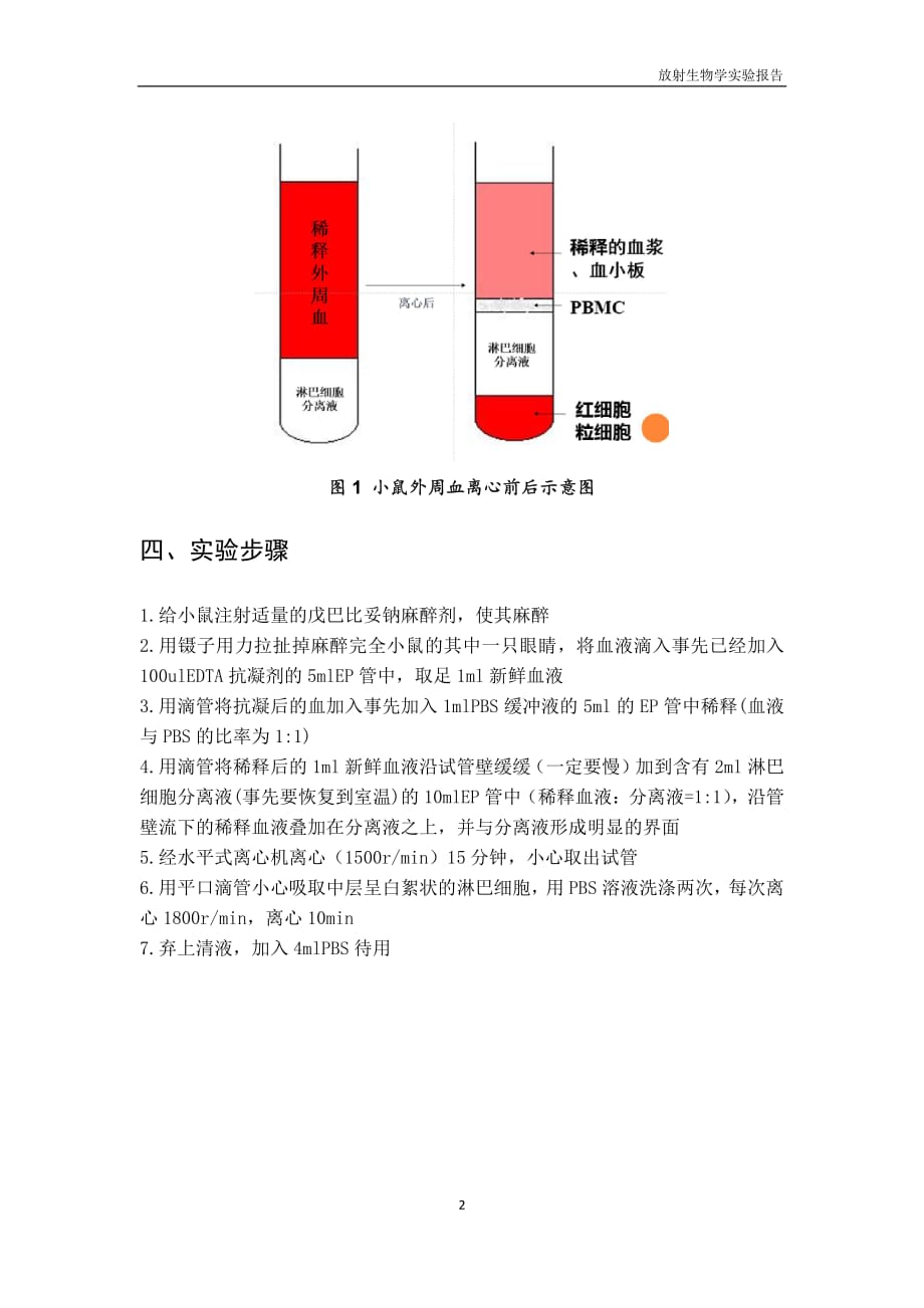 小鼠外周血淋巴细胞分离实验报告资料_第2页