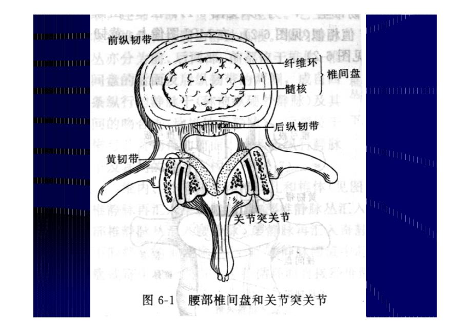 脊柱mri断面解剖资料_第3页