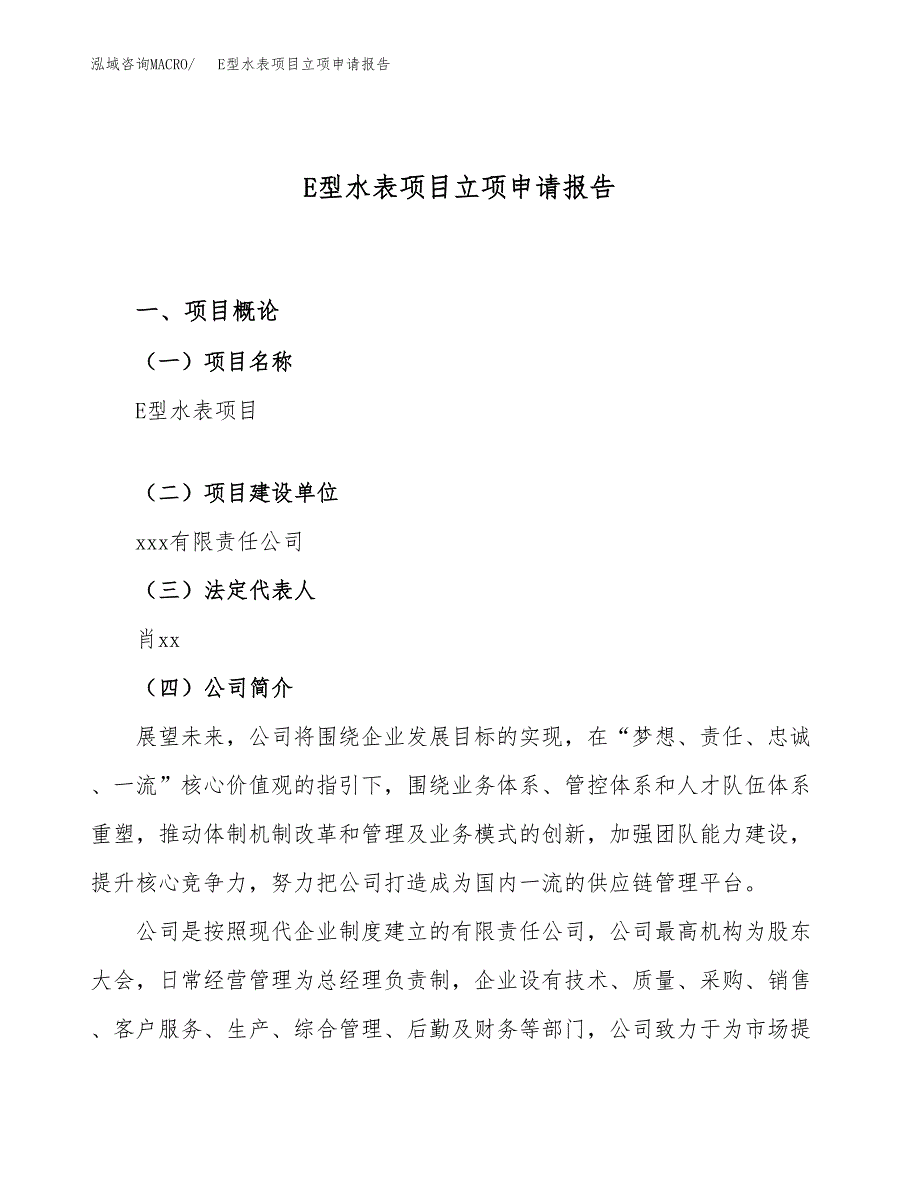 关于建设E型水表项目立项申请报告模板（总投资4000万元）_第1页