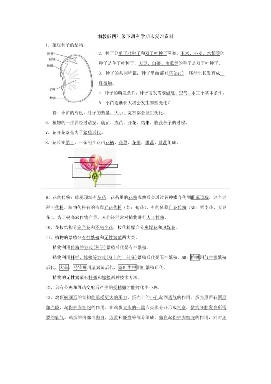 湘教版四年级下册科学期末复习资料(1)_第1页