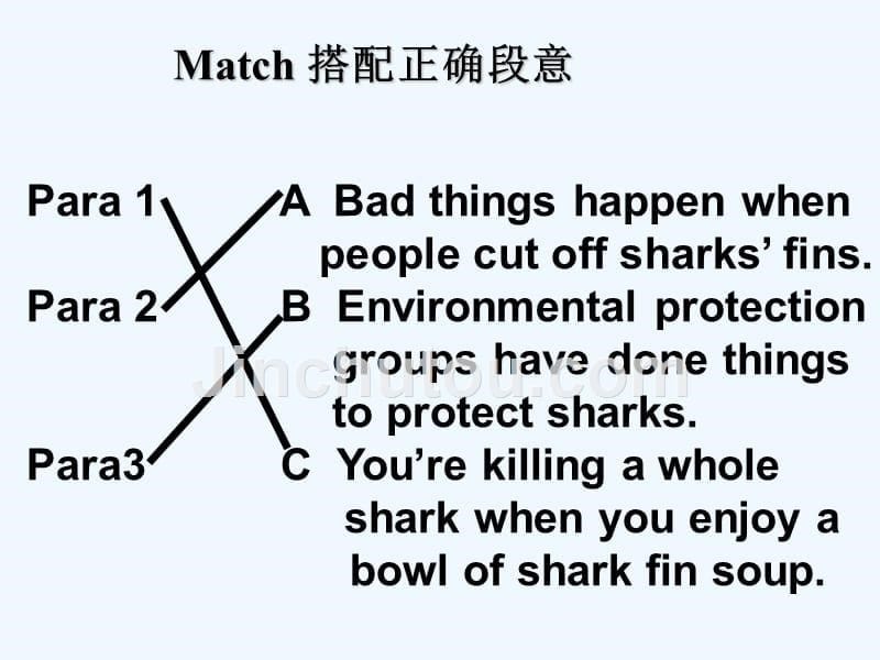 英语人教版九年级全册unit 13 save the sharks_第5页