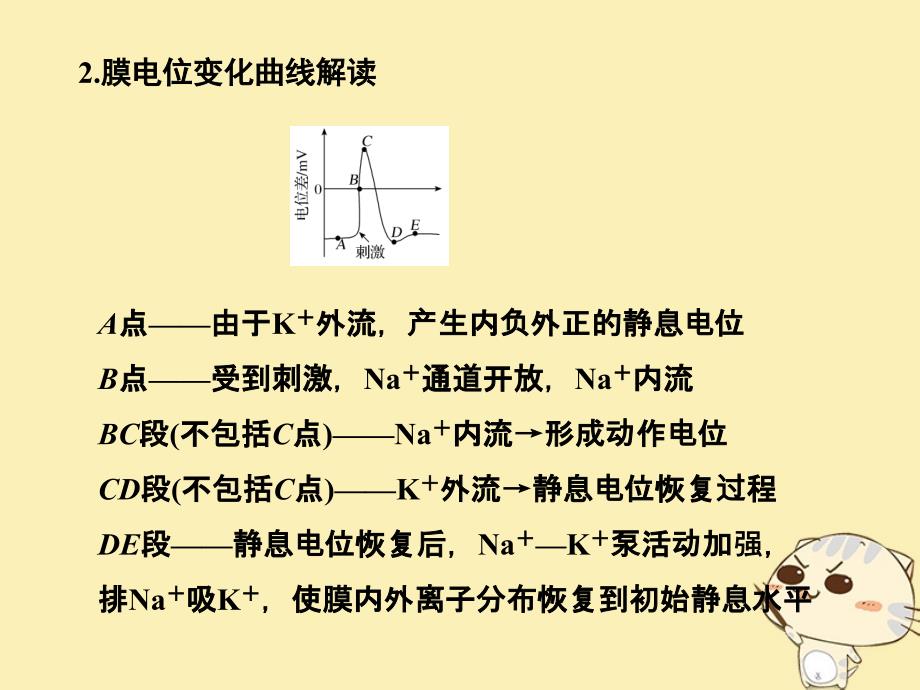 2018-2019版高中生物 第二章 生物的个体稳态章末培优攻略苏教版必修3_第4页