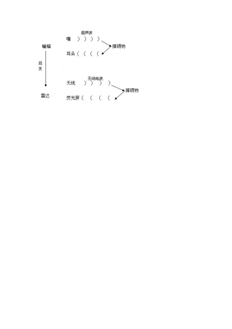 人教版本语文四年级下册蝙蝠和雷达.蝙蝠和雷达_第4页