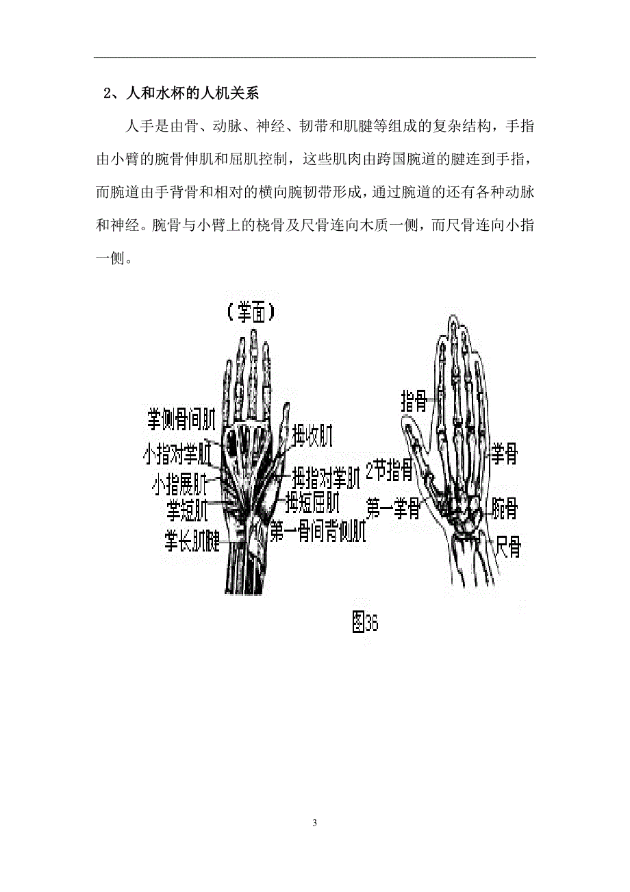 水杯的人机工程学改进设计方案_第4页