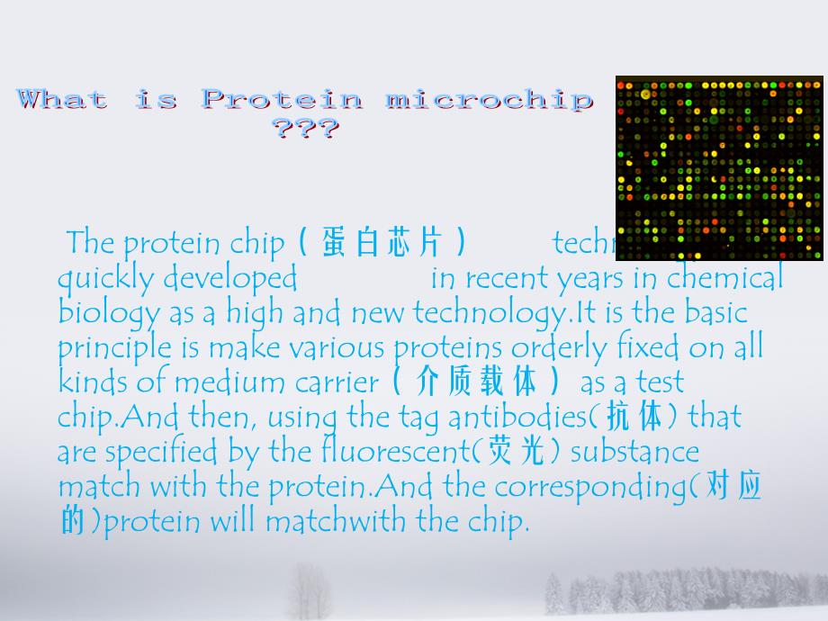 蛋白质芯片技术介绍资料_第4页