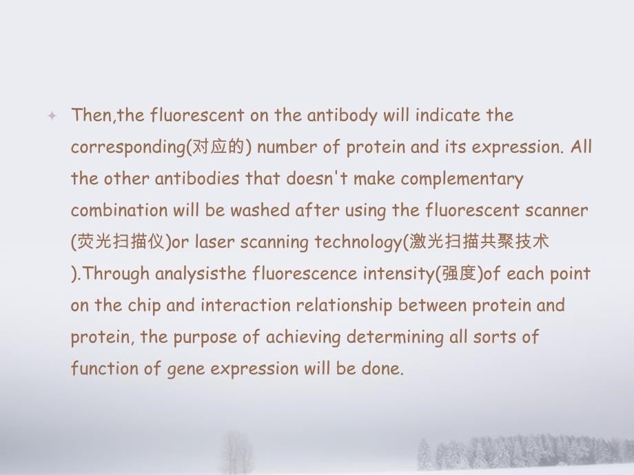 蛋白质芯片技术介绍资料_第5页