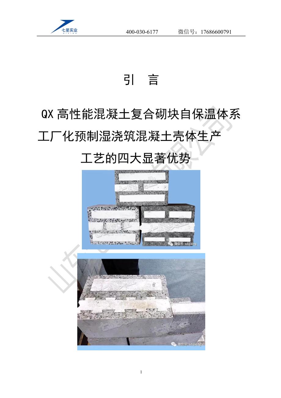 建筑节能与结构一体化专业技术_第2页