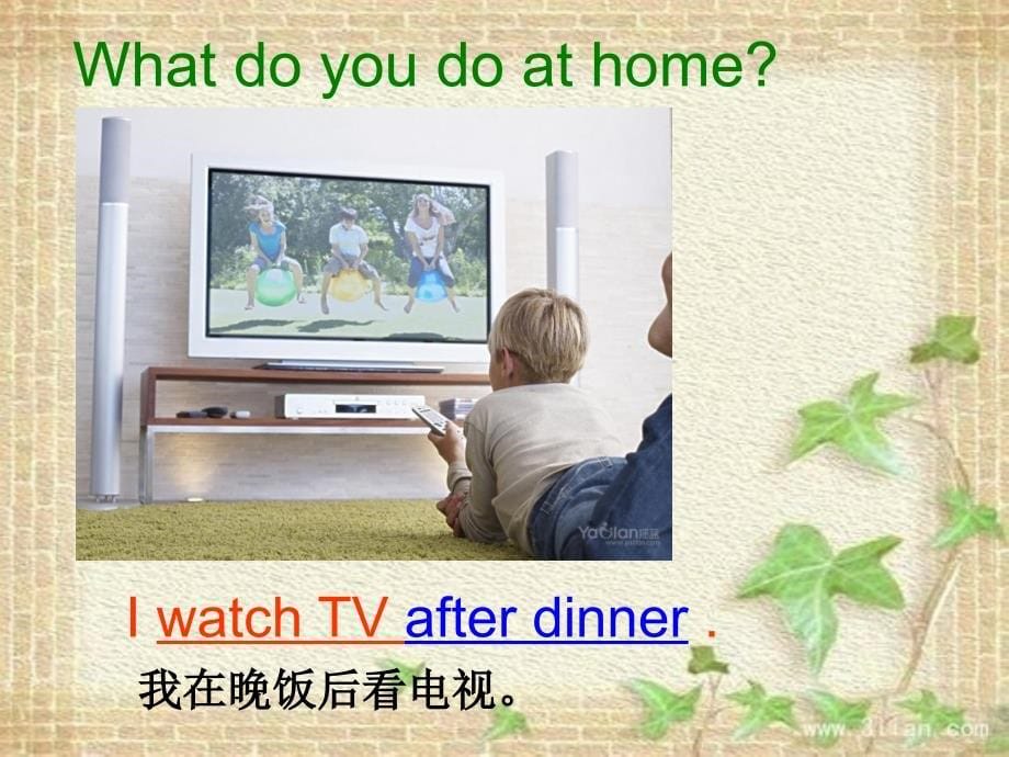 冀教版四年级上册英语lesson8 tv and phone_第5页