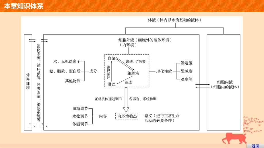 2018-2019版高中生物 第一单元 生物个体的稳态与调节 第二章 动物稳态维持及其意义章末整合中图版必修3_第3页