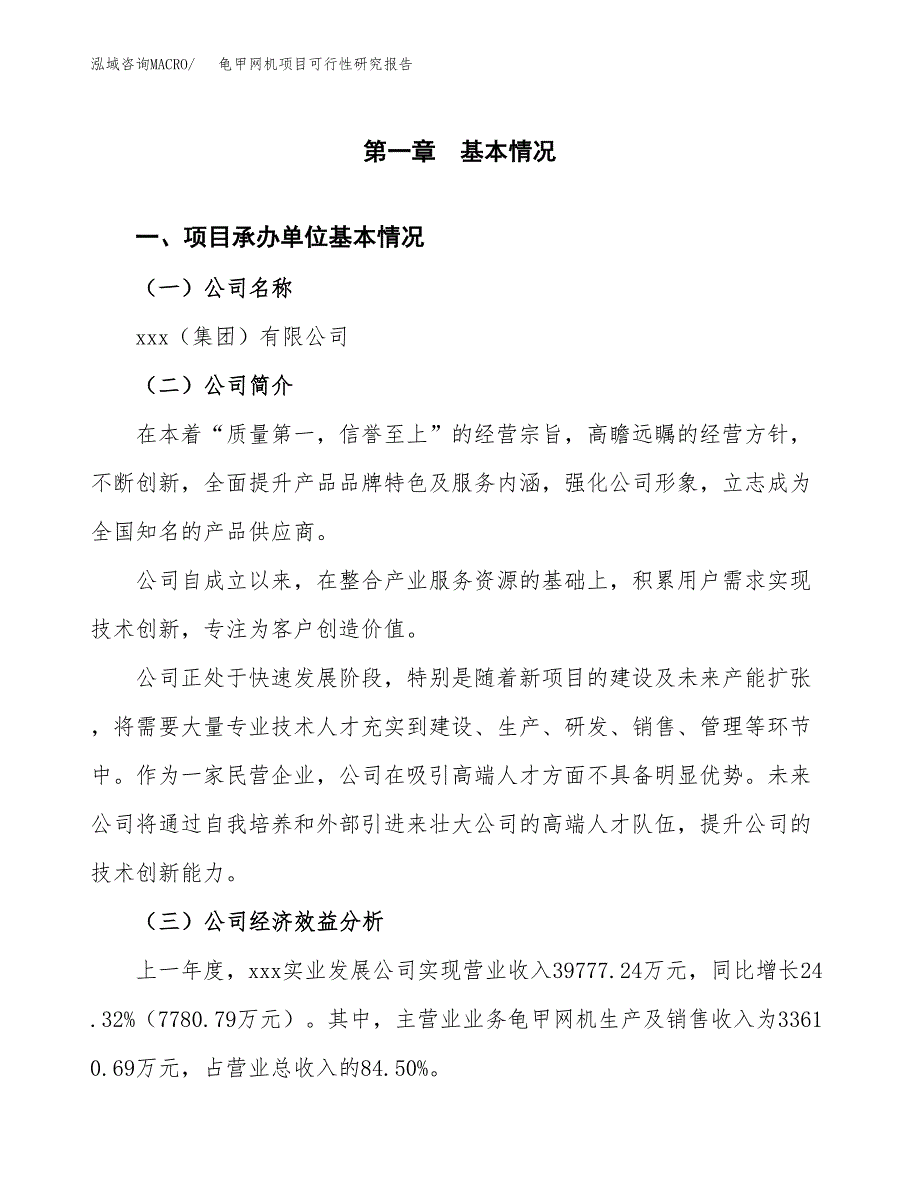 龟甲网机项目可行性研究报告（总投资19000万元）（78亩）_第3页