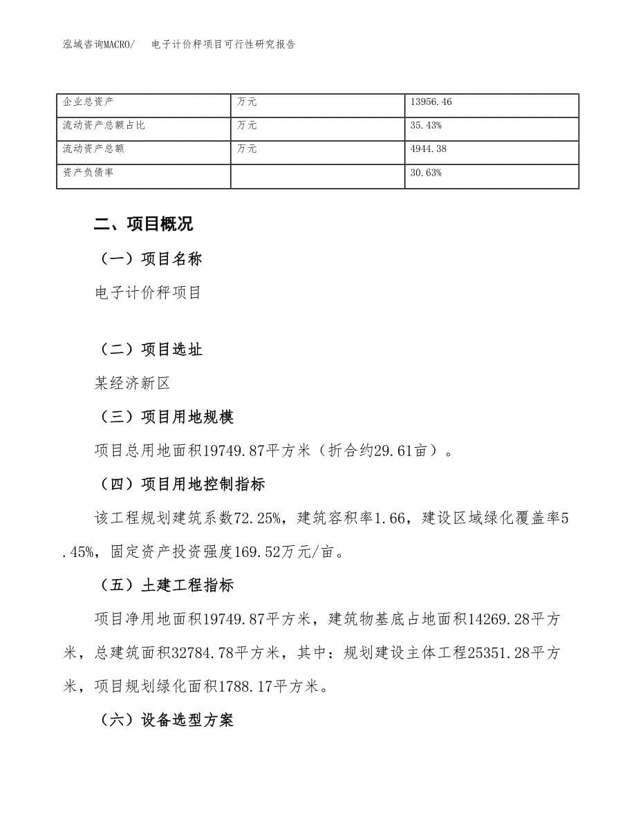 电子计价秤项目可行性研究报告（总投资7000万元）（30亩）_第5页