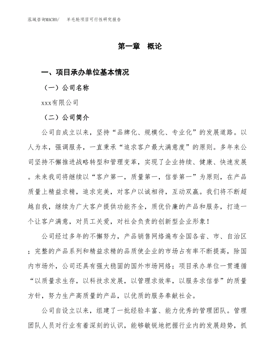 羊毛轮项目可行性研究报告（总投资14000万元）（67亩）_第3页