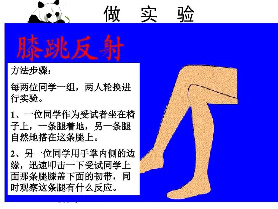 （精品教育）《一、神经调节的基本方式——反射》课件_第5页