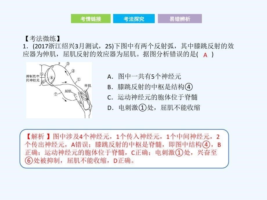 2017-2018学年高考生物二轮复习第二部分专题八动物和人体生命活动的调节_第5页