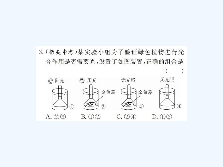 2017年秋七年级生物上册第三单元第五章第一节光合作用吸收二氧化碳释放氧气（新）新人教_第5页