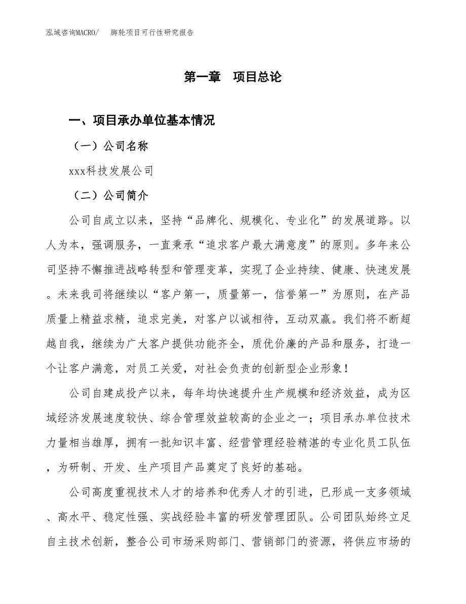 脚轮项目可行性研究报告（总投资17000万元）（76亩）_第3页