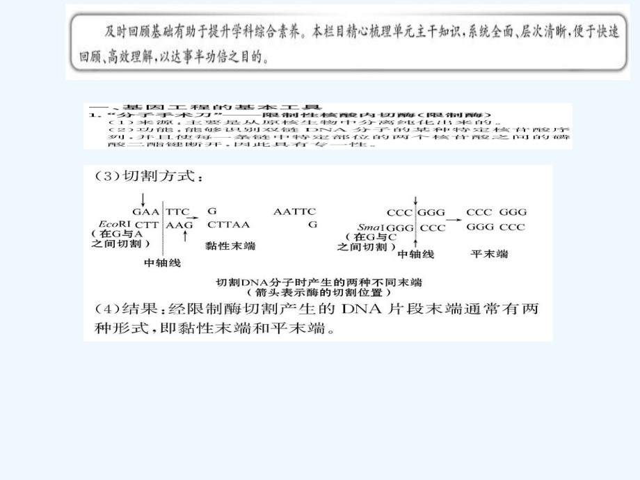 2017高中生物专题1基因工程阶段复习课新人教选修3_第2页