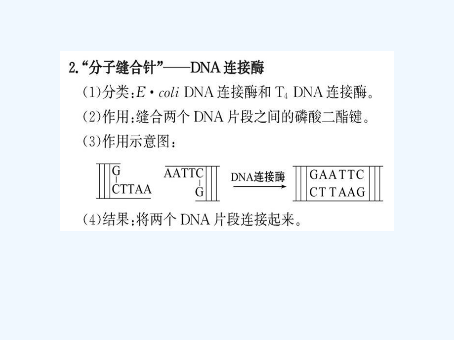 2017高中生物专题1基因工程阶段复习课新人教选修3_第3页