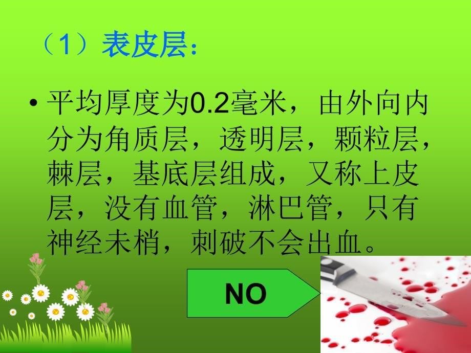 (1)皮肤的结构、生理功能和病理特点_第5页