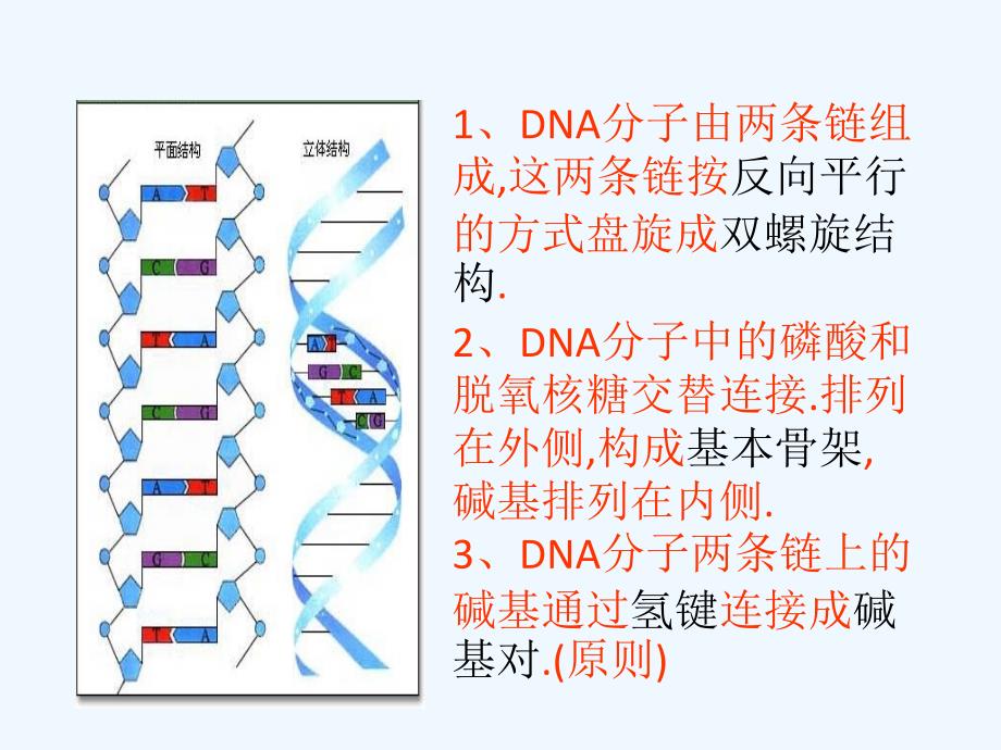 2017高中生物dna和蛋白质技术5.1dna的粗提取与鉴定1新人教选修1_第2页